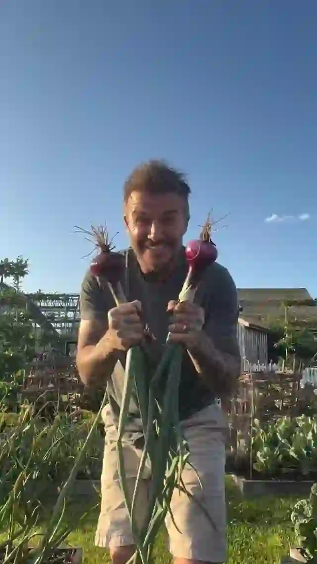 David Beckham (贝克汉姆) on Xiaohongshu