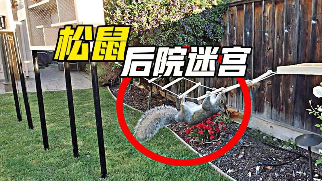 Thumbnail for Former NASA Engineer vs. the Backyard Squirrel Heist