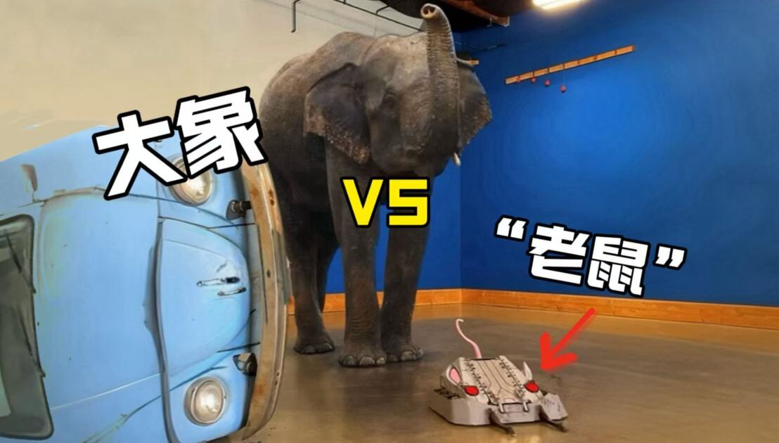 Thumbnail for Mini Flipping Robot vs. Increasingly Heavy Objects